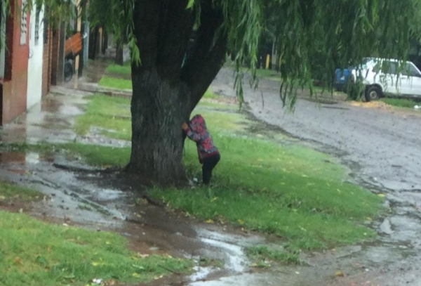 Vecinos en alerta por niña agarrada de un árbol en plena tormenta
